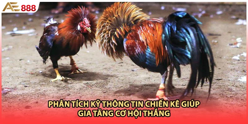 Phân tích kỹ thông tin chiến kê giúp gia tăng cơ hội thắng